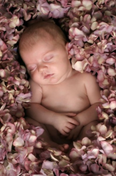 Baby On Flower