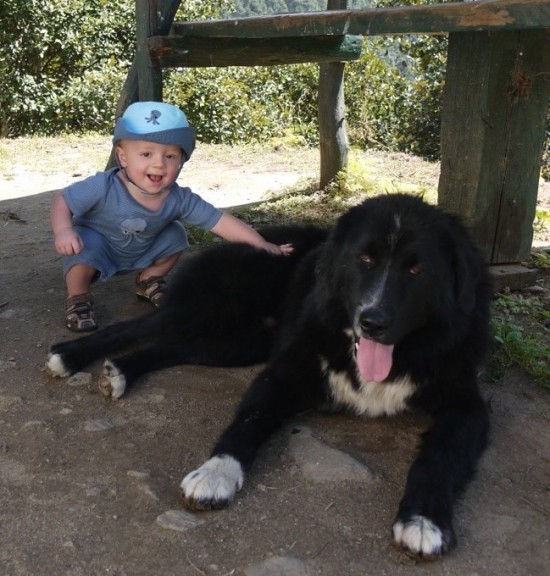 Baby Playing With Dog