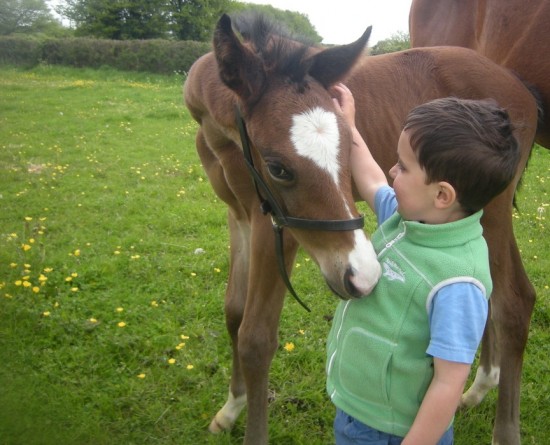 Baby WIth Horse