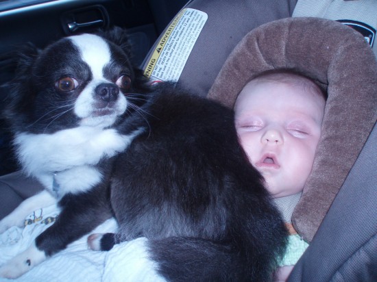 Baby With Dog