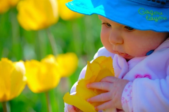 Baby With Rose