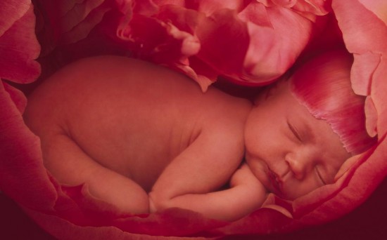 New Born Sweet Baby