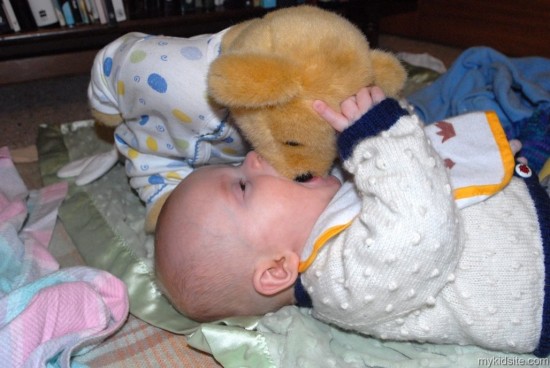 Playing With Teddy