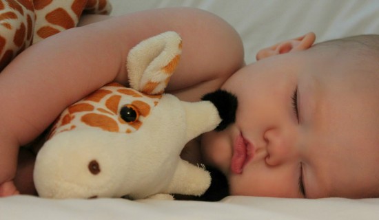 Sleeping With Giraffe Teddy