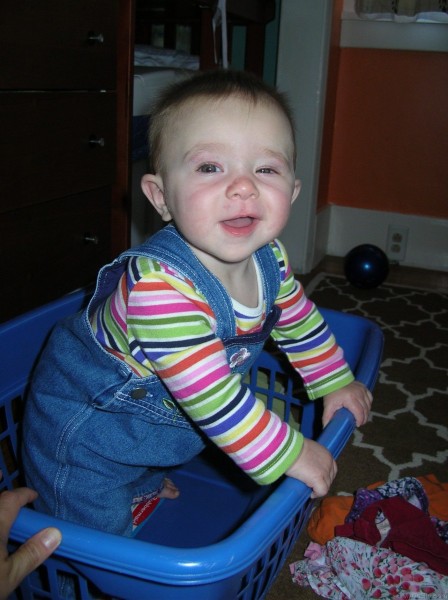 Baby In Bucket