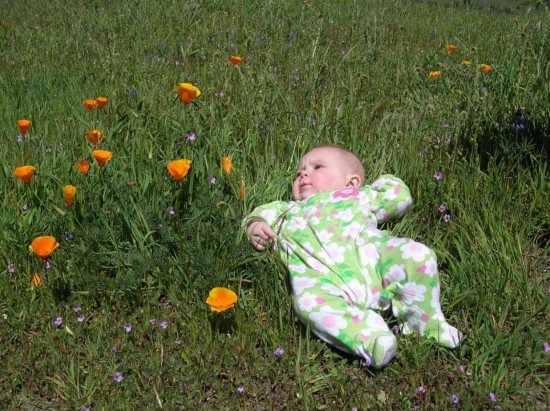 Baby In Garden