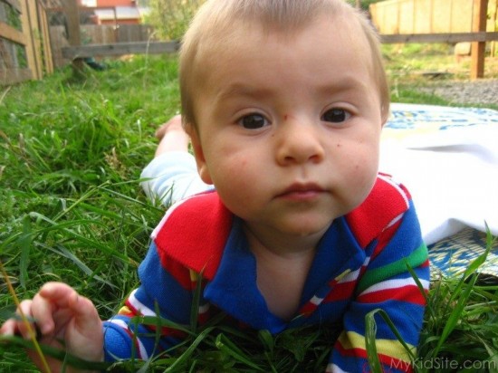 Cute Baby On Grass