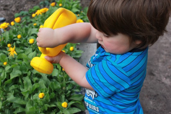 Gardening Baby