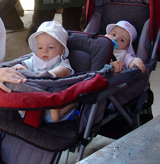 Babies In Stroller