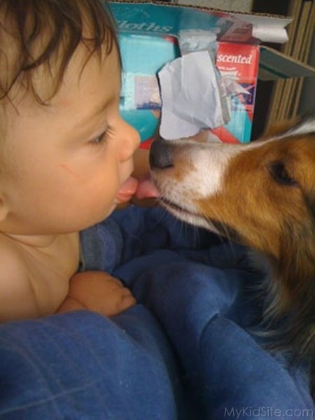 Baby With Dog