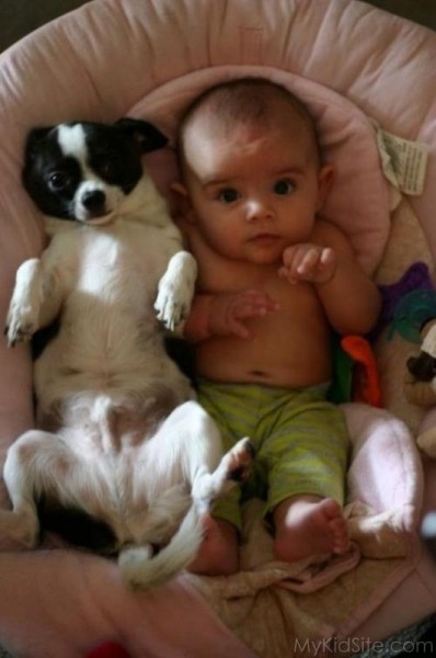 Baby With Dog