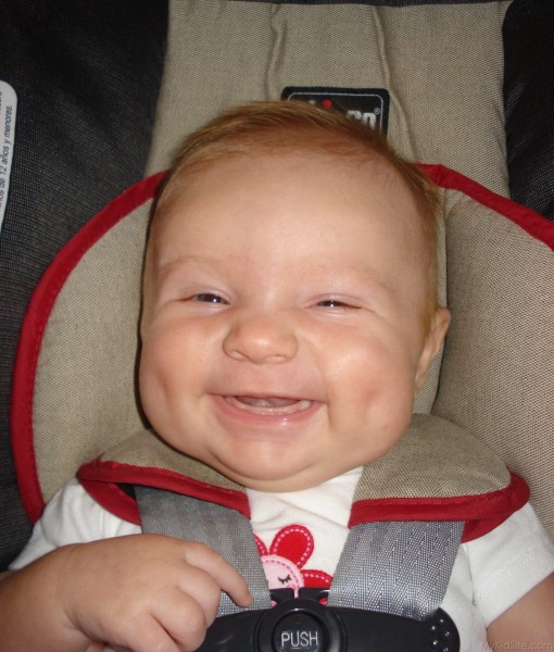 Laughing Dimpled Baby