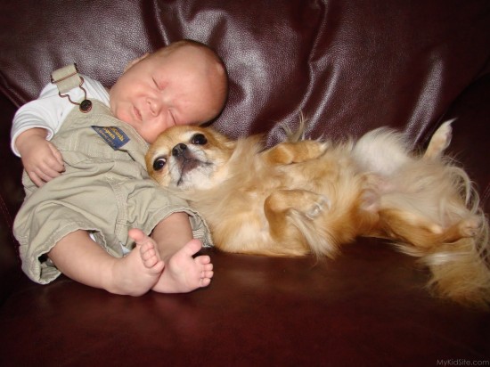 Sleeping With Dog