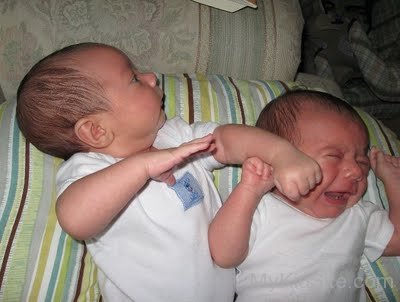Babies Fighting