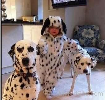 Baby Enjoying With Dogs