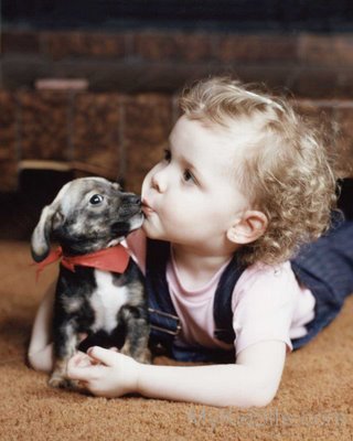 Baby Kissing Dog