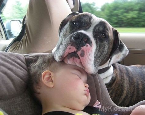 Baby Security