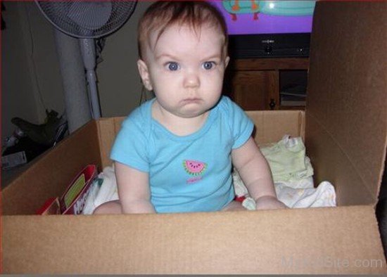 Baby Sitting In Box