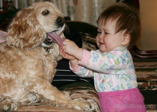 Baby Touch Dog Tongue
