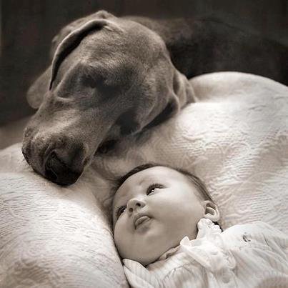 Baby With Dog Loving Pic