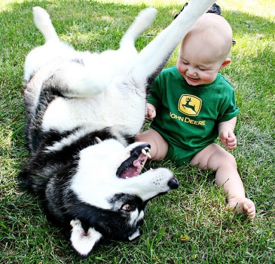 Baby With Dog