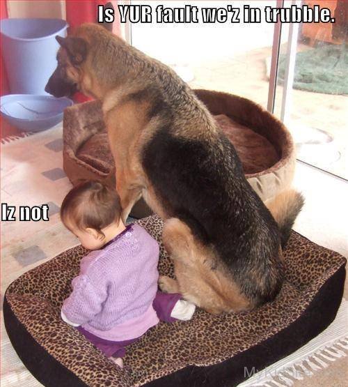 Best Friends