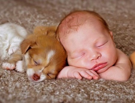 Cute Dog And Baby