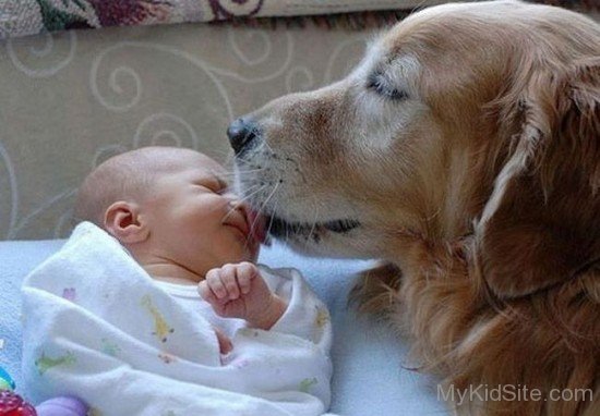 Dog Kissing Baby