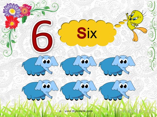 Number Worksheet For  6