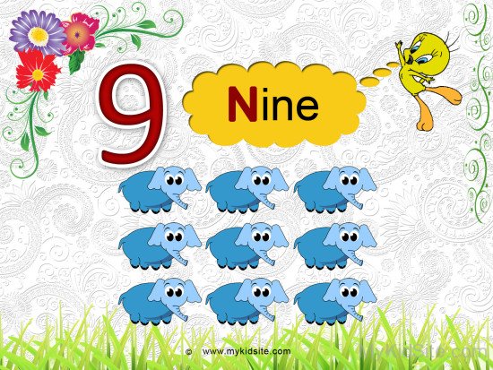 Number Worksheet For  9