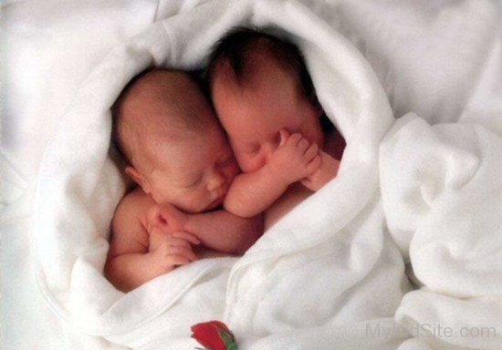 Twin Cute Baby In Sheet