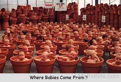 Where Babies Come From