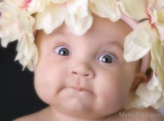 Baby Boy Picture