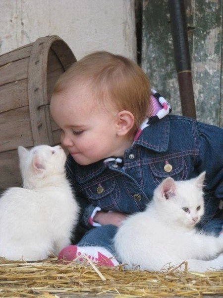Cute Baby With Cat