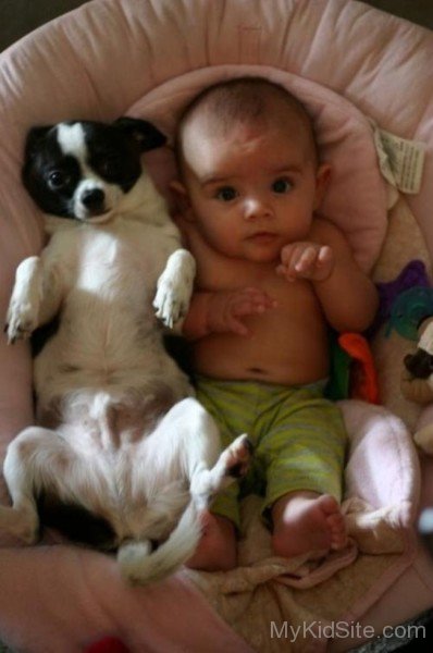 Cute Baby With Puppy