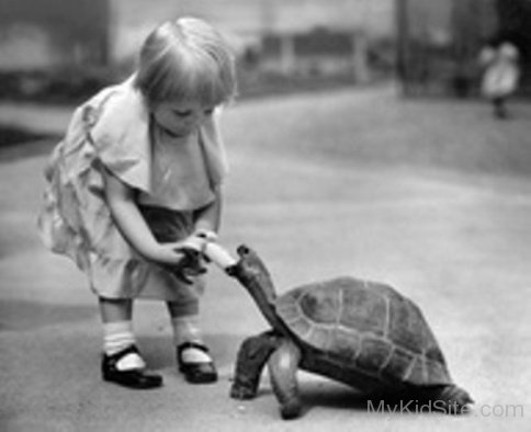 Cute Baby With Turtle