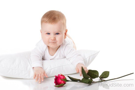 Baby Boy Holding Red Rose