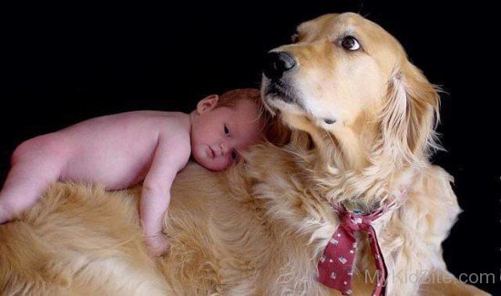 Baby Laying On Dogc
