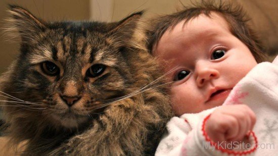 Baby With Kitten