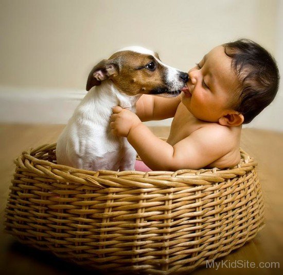 Cute Baby And Dog In Basket
