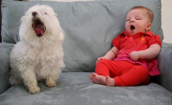 Cute Baby And Dog Yawing