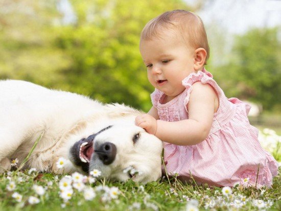 Baby Girl Playing With Dog
