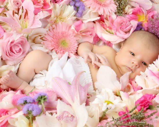  Baby Laying In Flowers 