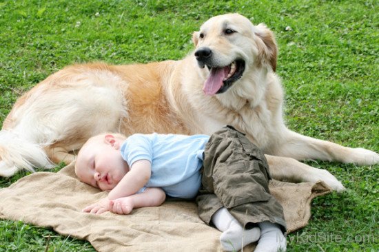 Cute Baby Sleeping