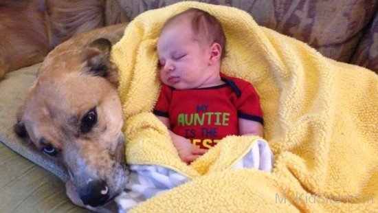 Cute Baby Sleeping On Dog