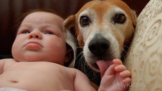 Baby With Dog