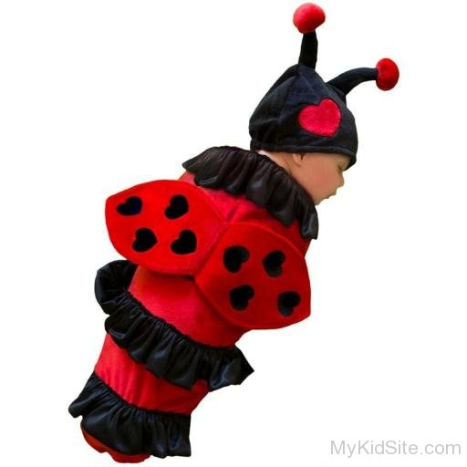 Ladybug Infant Image