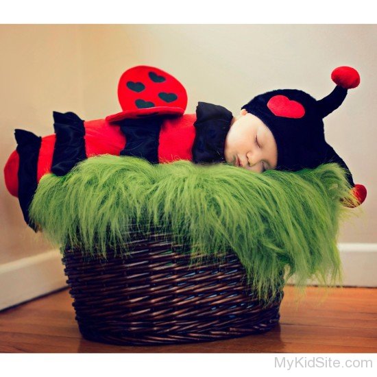 Ladybug Infant Sleeping