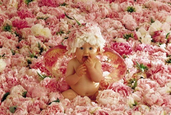 Lovely Baby In Flowers