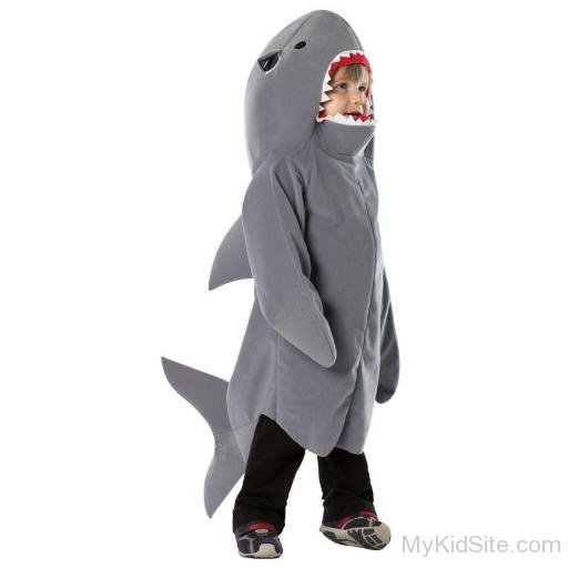 Shark Infant Image